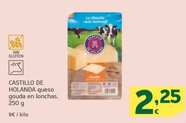 Oferta de Castillo de Holanda - Queso Gouda En Lonchas por 2,25€ en HiperDino