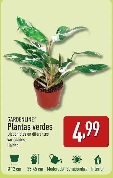 Oferta de Gardenline - Plantas Verdes por 4,99€ en ALDI