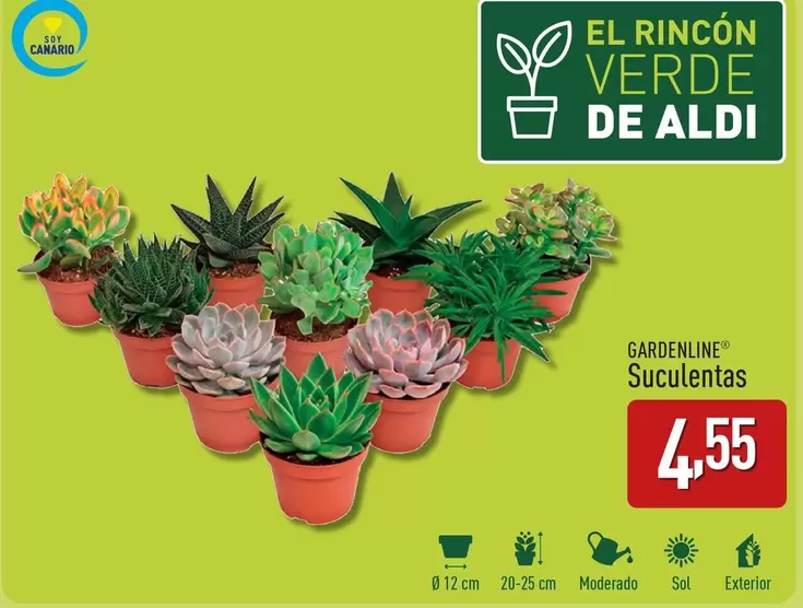 Oferta de Gardenline - Suculentas por 4,55€ en ALDI