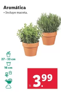 Oferta de Aromatica por 3,99€ en Lidl