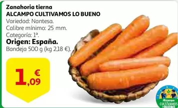 Oferta de Alcampo - Zanahoria Tierna Cultivamos por 1,09€ en Alcampo