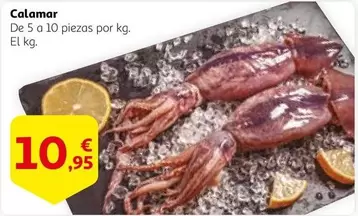 Oferta de Calamar por 10,95€ en Alcampo