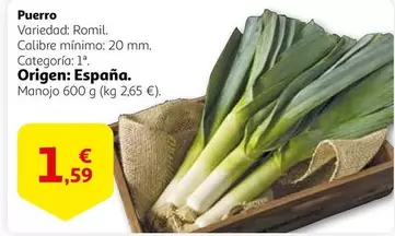 Oferta de Puerro por 1,59€ en Alcampo