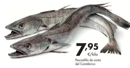 Oferta de Costa - Pescadilla De  Del Cantabrico por 7,95€ en Supermercados Lupa