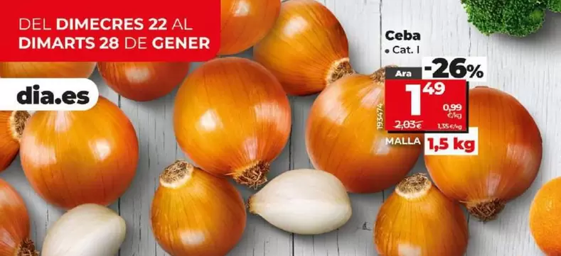 Oferta de Cebolla por 1,49€ en Dia