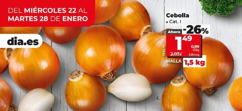 Oferta de Cebolla por 1,49€ en Dia