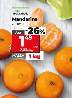 Oferta de Mandarina por 1,49€ en Dia