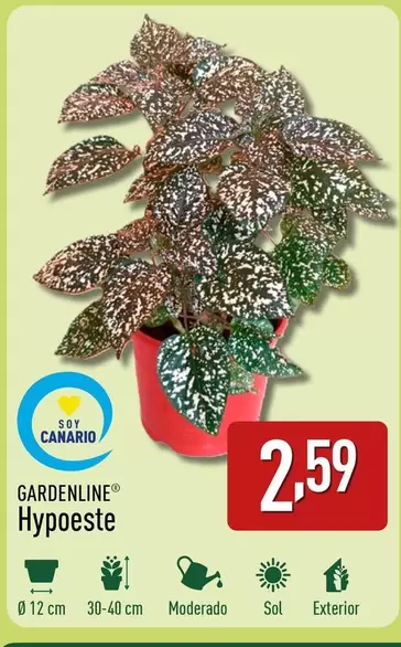 Oferta de Gardenline - Hypoeste por 2,59€ en ALDI