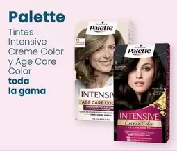 Oferta de Palette - Tintes Intensive Creme Color Y Age Care Color en Clarel