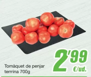 Oferta de Tomàquet De Penjar Terrrina por 2,99€ en SPAR Fragadis