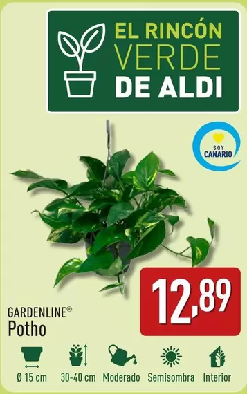 Oferta de Gardenline - Potho por 12,89€ en ALDI