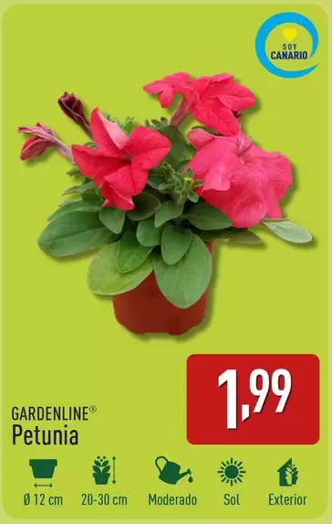 Oferta de Gardenline - Petunia por 1,99€ en ALDI