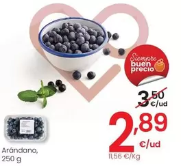 Oferta de Arándano por 2,89€ en Eroski