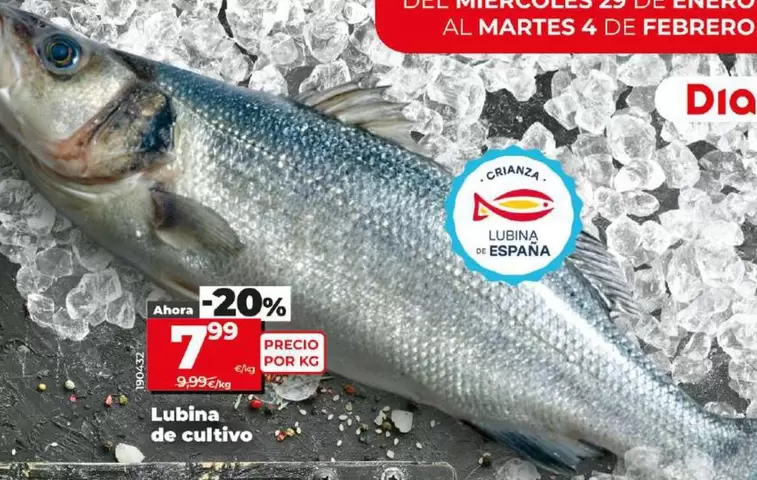 Oferta de Lubina De Cultivo por 7,99€ en Dia