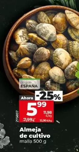 Oferta de Almeja De Cultivo por 5,99€ en Dia