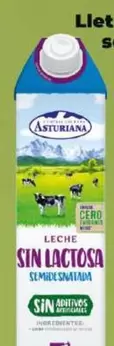 Oferta de Asturiana - Leche Sin Lactosa Semidesnatada por 1,2€ en Dia