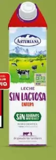 Oferta de Asturiana - Leche Sin Lactosa Entera por 1,25€ en Dia