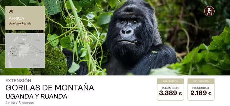 Oferta de Tanzania - Gorillas De Montaña por 2189€ en Tui Travel PLC
