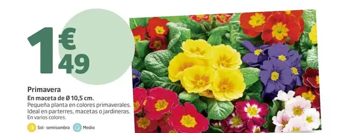 Oferta de Primavera por 1,49€ en Jardiland