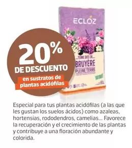 Oferta de Ecloz - 20% De Descuento En Sustratos De Plantas Acidofilas en Jardiland