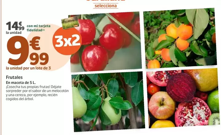 Oferta de Frutales por 14,99€ en Jardiland