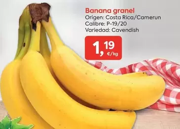 Oferta de Origen - Banana Granel por 1,19€ en Suma Supermercados