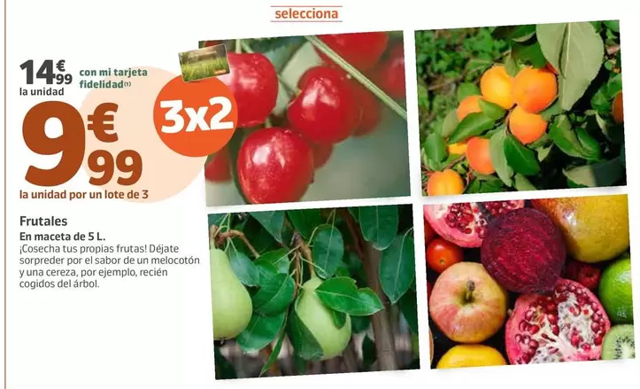 Oferta de Jardiland - Frutales por 14,99€ en Jardiland