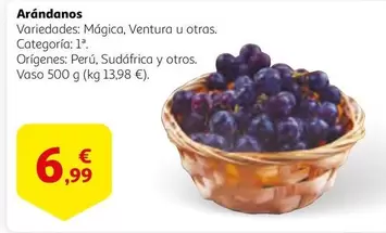 Oferta de Arándanos por 6,99€ en Alcampo