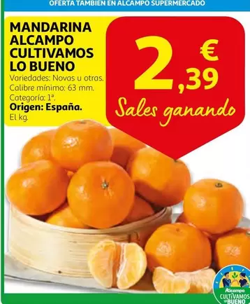 Oferta de Alcampo - Mandarina Cultivamos Lo Bueno por 2,39€ en Alcampo