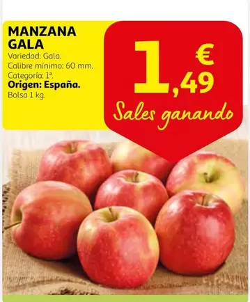 Oferta de Gala - Manzana por 1,49€ en Alcampo