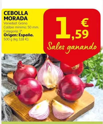 Oferta de Cebolla Morada por 1,59€ en Alcampo