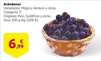 Oferta de Arándanos por 6,99€ en Alcampo