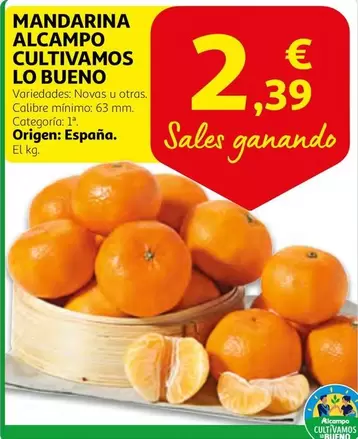 Oferta de Alcampo - Mandarina Alcampo Cultivamos Lo Bueno por 2,39€ en Alcampo