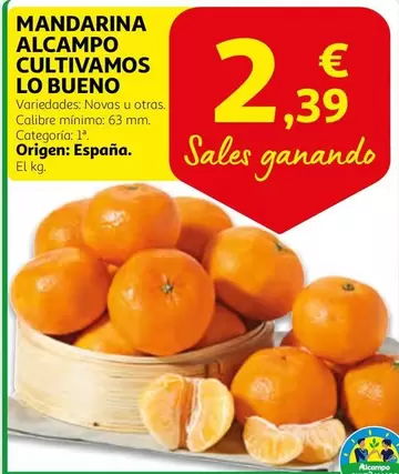 Oferta de Alcampo - Mandarina Alcampo Cultivamos Lo Bueno por 2,39€ en Alcampo