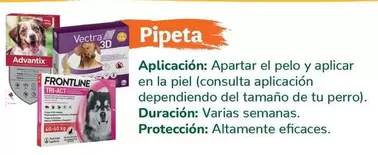 Oferta de Frontline - Pipeta en Tiendanimal