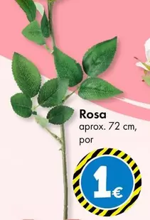 Oferta de Rosa por 1€ en TEDi