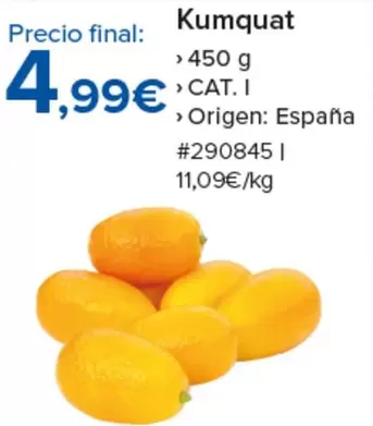 Oferta de Origen - Kumquat por 4,99€ en Costco