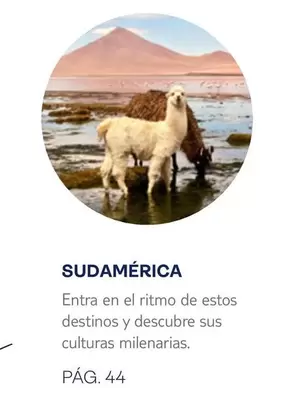 Oferta de Ritmo - Sudamérica en Tui Travel PLC