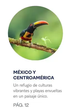 Oferta de México Y Centroamérica en Tui Travel PLC