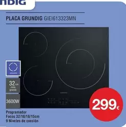 Oferta de Grundig - Placa Giel616323mn por 299€ en Milar