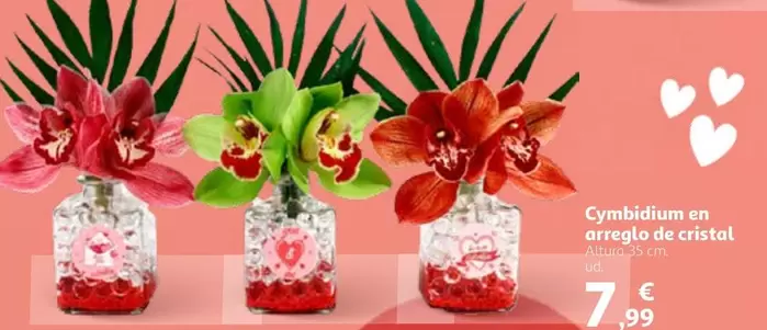 Oferta de Cymbidium En Arreglo De Cristal por 7,99€ en Alcampo