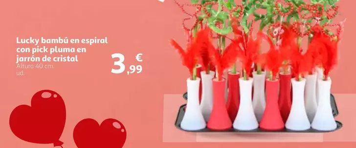 Oferta de Lucky Bambú En Espiral Con Pick Pluma En Jarrón De Cristal por 3,99€ en Alcampo