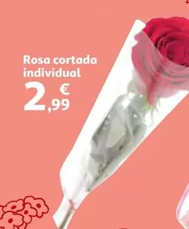 Oferta de Rosa Cortada Individual por 2,99€ en Alcampo