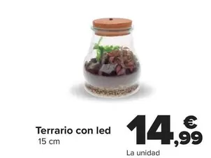 Oferta de Terrario Con Led por 14,99€ en Carrefour