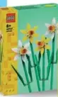 Oferta de Lego - Rosas, Girasoles, Flor De Loto, Flor De Cerezo O Narciso por 12,99€ en Carrefour