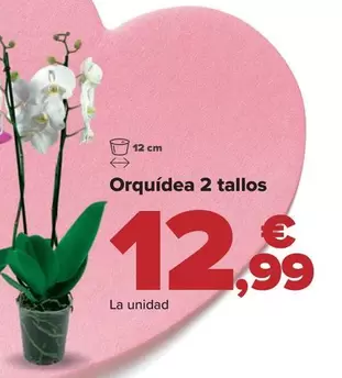 Oferta de Orquidea 2 Tallos por 12,99€ en Carrefour