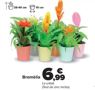 Oferta de Bromelia por 6,99€ en Carrefour