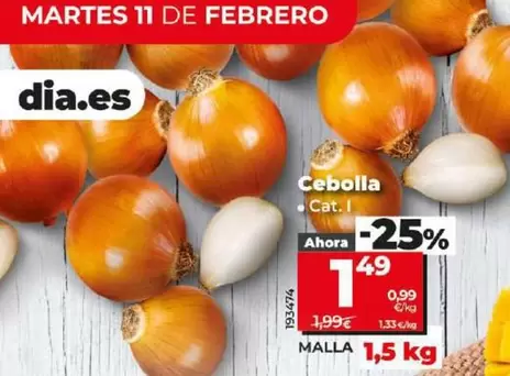 Oferta de Cebolla por 1,49€ en Dia