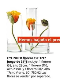 Oferta de Flores - Cylinder Florero por 12€ en IKEA