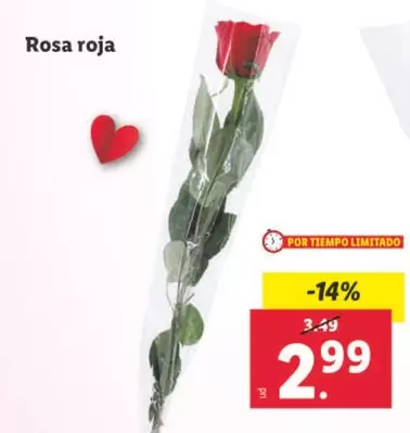 Oferta de Rosa Roja por 2,99€ en Lidl